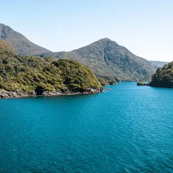 Image related to Dusky Sound (Scenic Cruising)