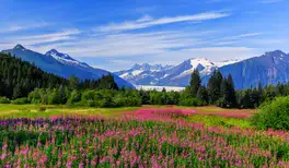 Image related to Juneau