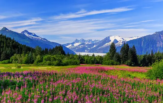 Image related to Juneau