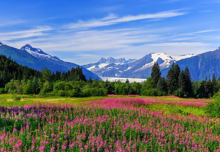 Photo of Day 7: Juneau