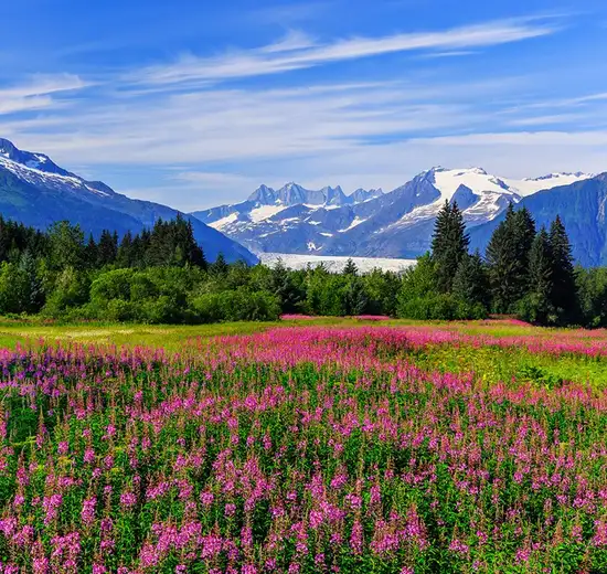 Image related to Juneau (Alaska)