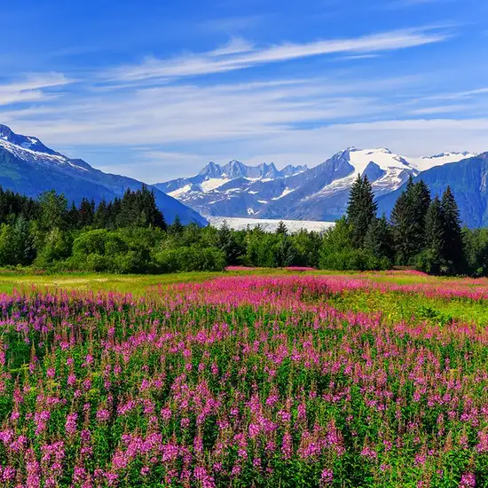 Image related to Juneau (Alaska)