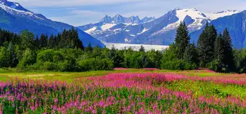 Image related to Juneau