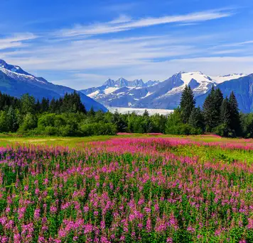 Image related to Juneau