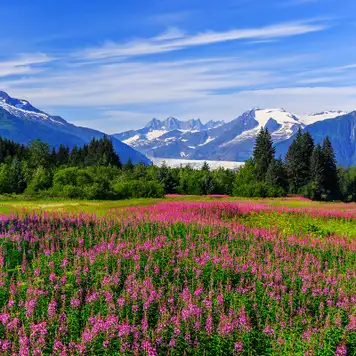 Image related to Juneau