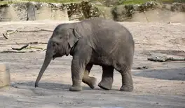 Image related to Image related to Tierpark Hagenbeck