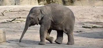 Image related to Image related to Tierpark Hagenbeck