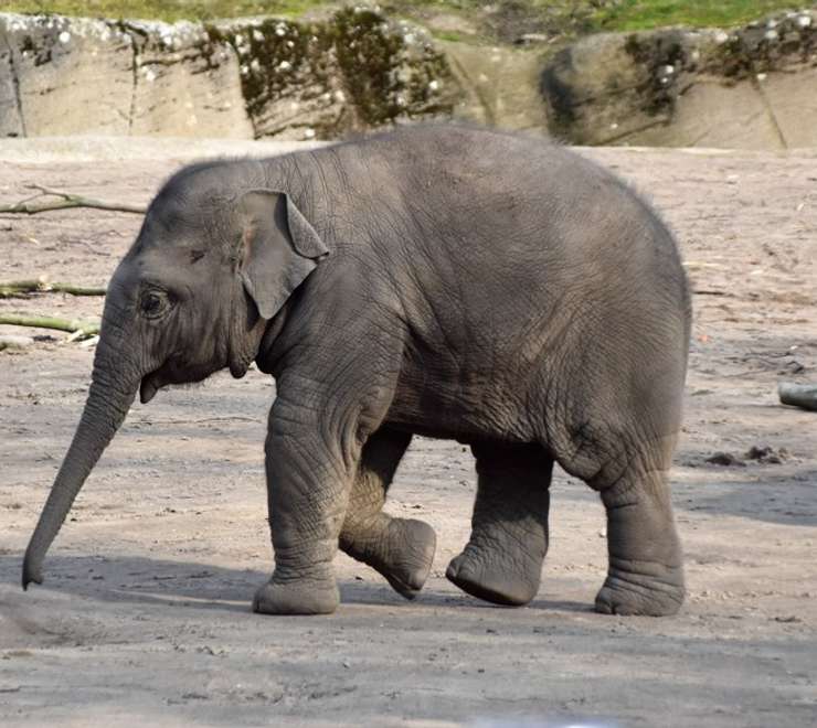 Tierpark Hagenbeck