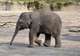 Tierpark Hagenbeck
