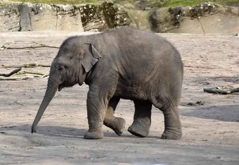 Tierpark Hagenbeck