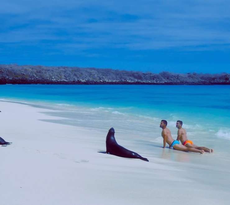 Lounge with Sea Lions