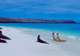 Lounge with Sea Lions