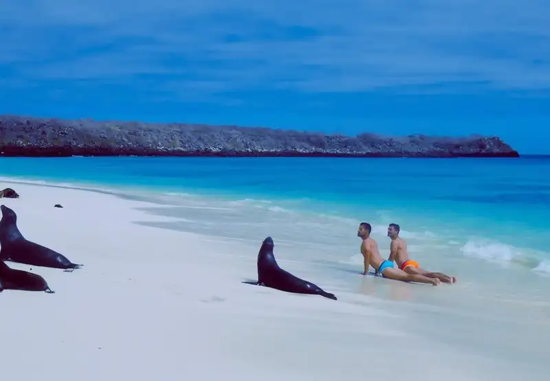 Lounge with Sea Lions