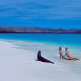 Image related to Lounge with Sea Lions