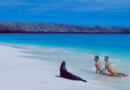 IgluCruise.Application.ViewModels.Shared.WebImageViewModel?.Description