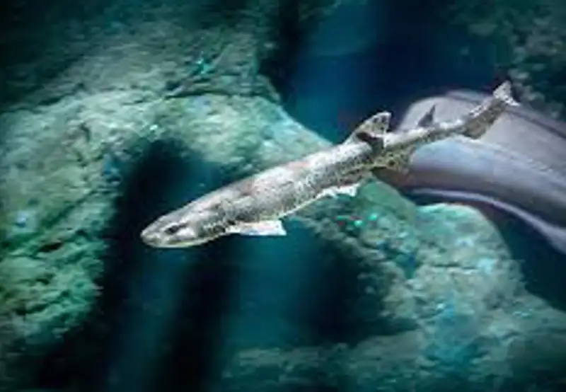 Havets Hus Aquarium