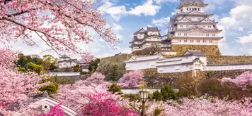Image related to Himeji Castle & Spring Blossoms Excursion