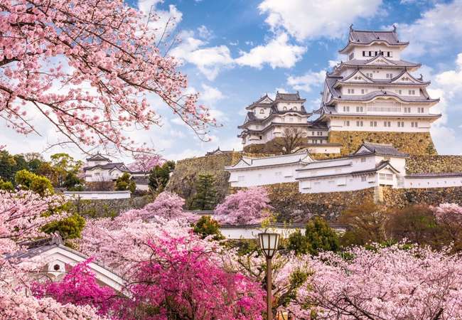 Himeji Castle & Spring Blossoms Excursion