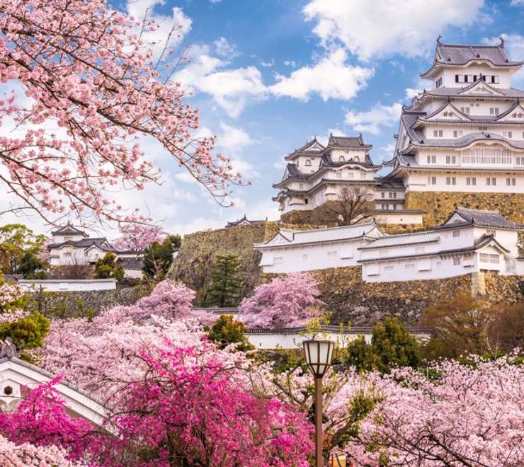 Himeji Castle & Spring Blossoms Excursion