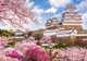 Himeji Castle & Spring Blossoms Excursion