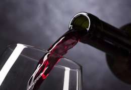 IgluCruise.Application.ViewModels.Shared.WebImageViewModel?.Description