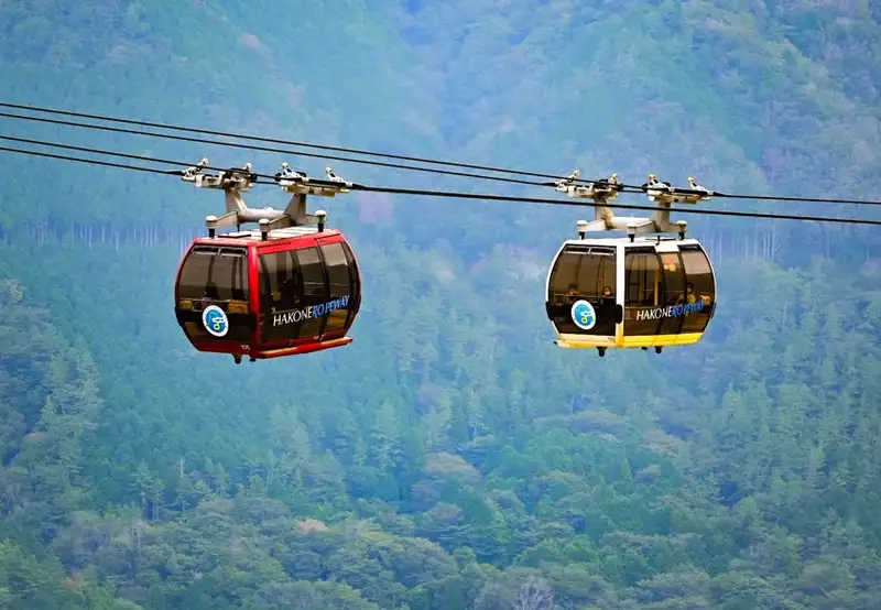 Hakone Ropeway Sky Gondola Tour (Tokyo - Mt. Fuji with Bullet Train & Lunch)
