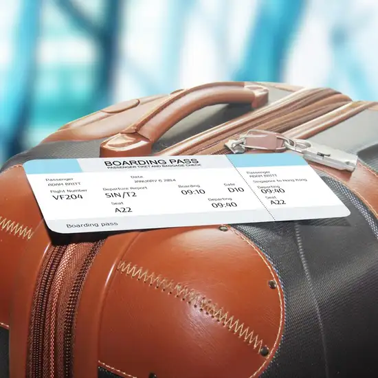 Image related to Luggage