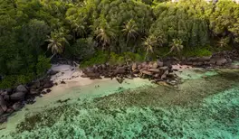 Image related to Vallée de Mai Nature Reserve