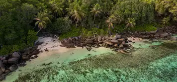 Vallée de Mai Nature Reserve