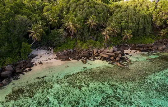Image related to Vallée de Mai Nature Reserve