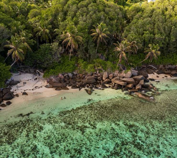 Vallée de Mai Nature Reserve