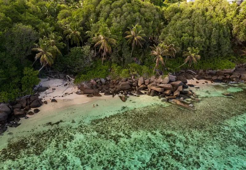 Vallée de Mai Nature Reserve