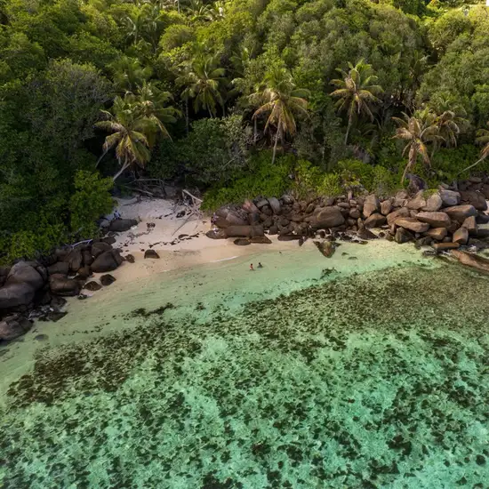 Image related to Vallée de Mai Nature Reserve
