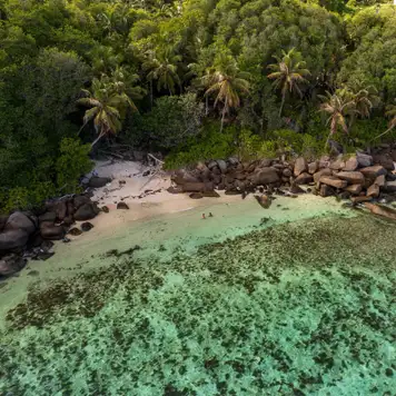 Image related to Vallée de Mai Nature Reserve