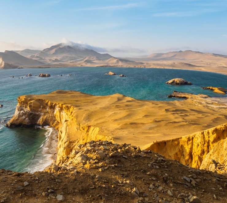 Pisco (General San Martin)