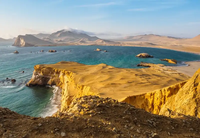 Pisco (General San Martin)