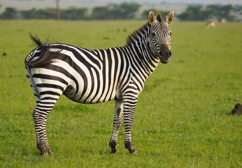 Etgarim Lakhish Park
