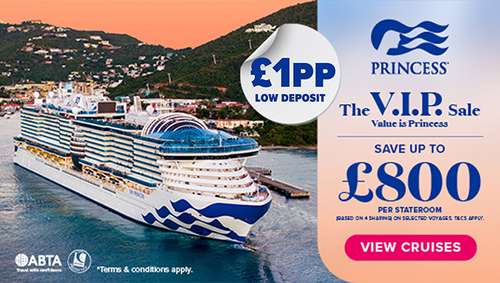 Princess Wave promotional banner