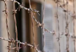 IgluCruise.Application.ViewModels.Shared.WebImageViewModel?.Description