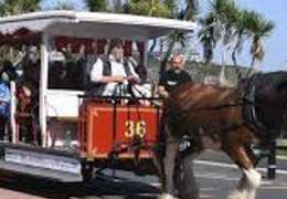 IgluCruise.Application.ViewModels.Shared.WebImageViewModel?.Description