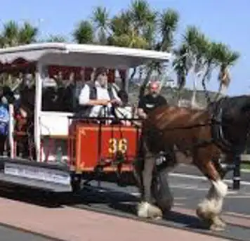 Image related to Douglas Horse Tramway