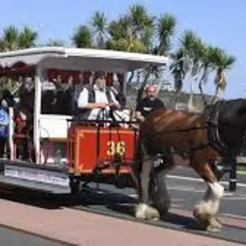 Image related to Douglas Horse Tramway