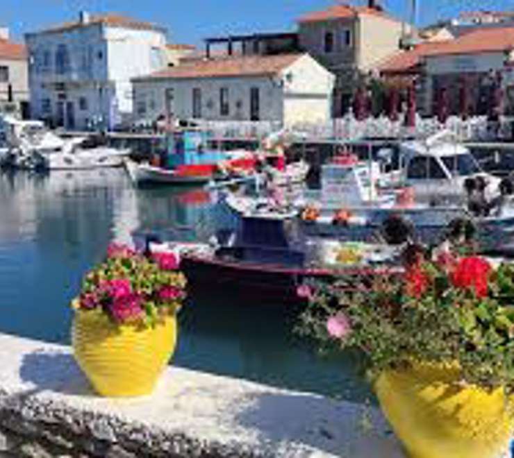 The Old Harbour 