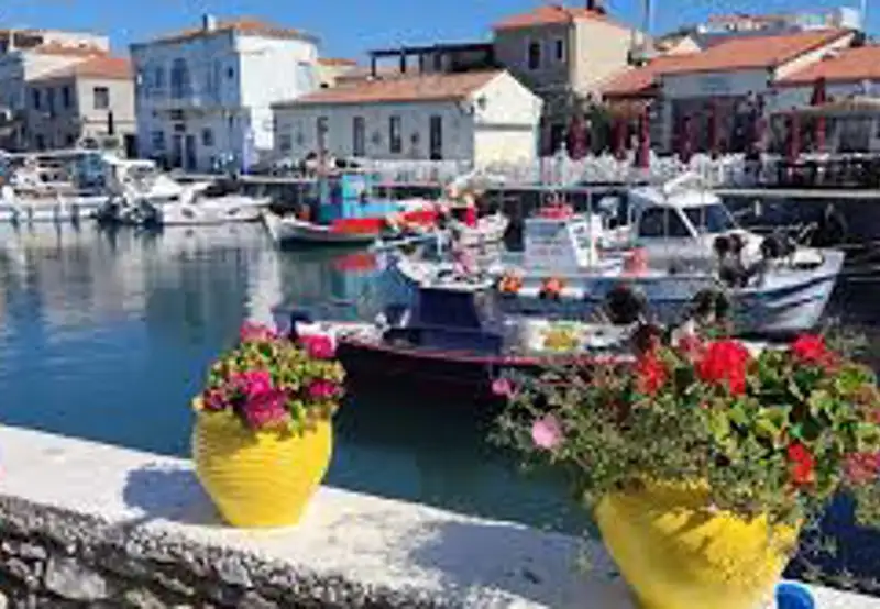 The Old Harbour 
