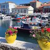 Image related to The Old Harbour 