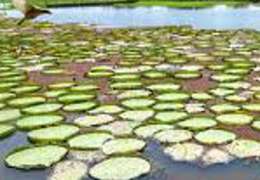 IgluCruise.Application.ViewModels.Shared.WebImageViewModel?.Description