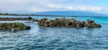 Image related to Elizabeth Bay, Isabela Island