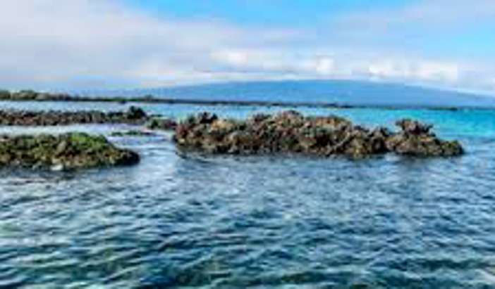 Elizabeth Bay, Isabela Island