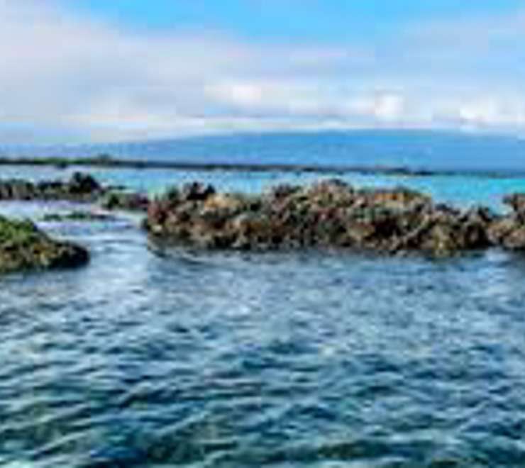 Elizabeth Bay, Isabela Island