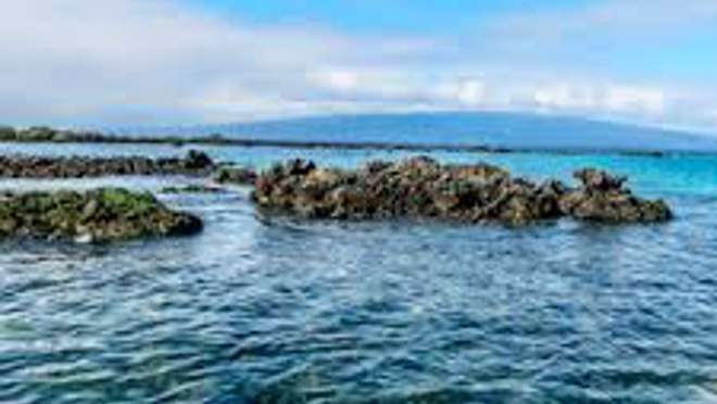 Elizabeth Bay, Isabela Island